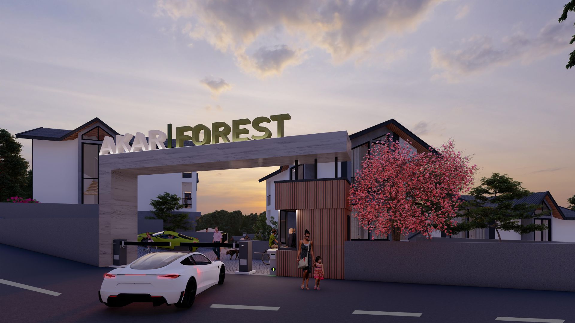 AKAR FOREST